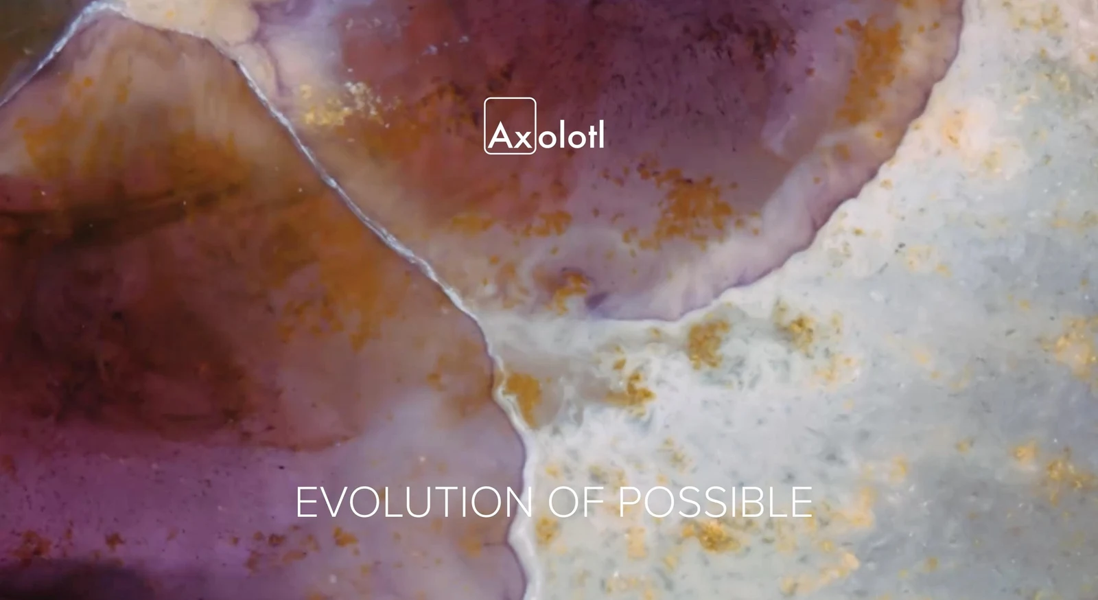 Evolution of possible