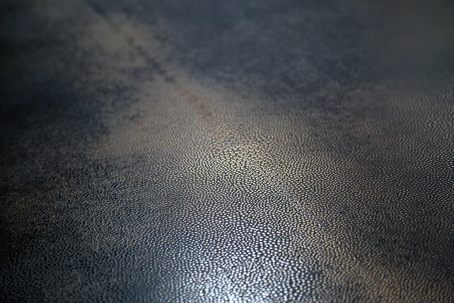 Shagreen Detail | Gold Bronze Black Florentine