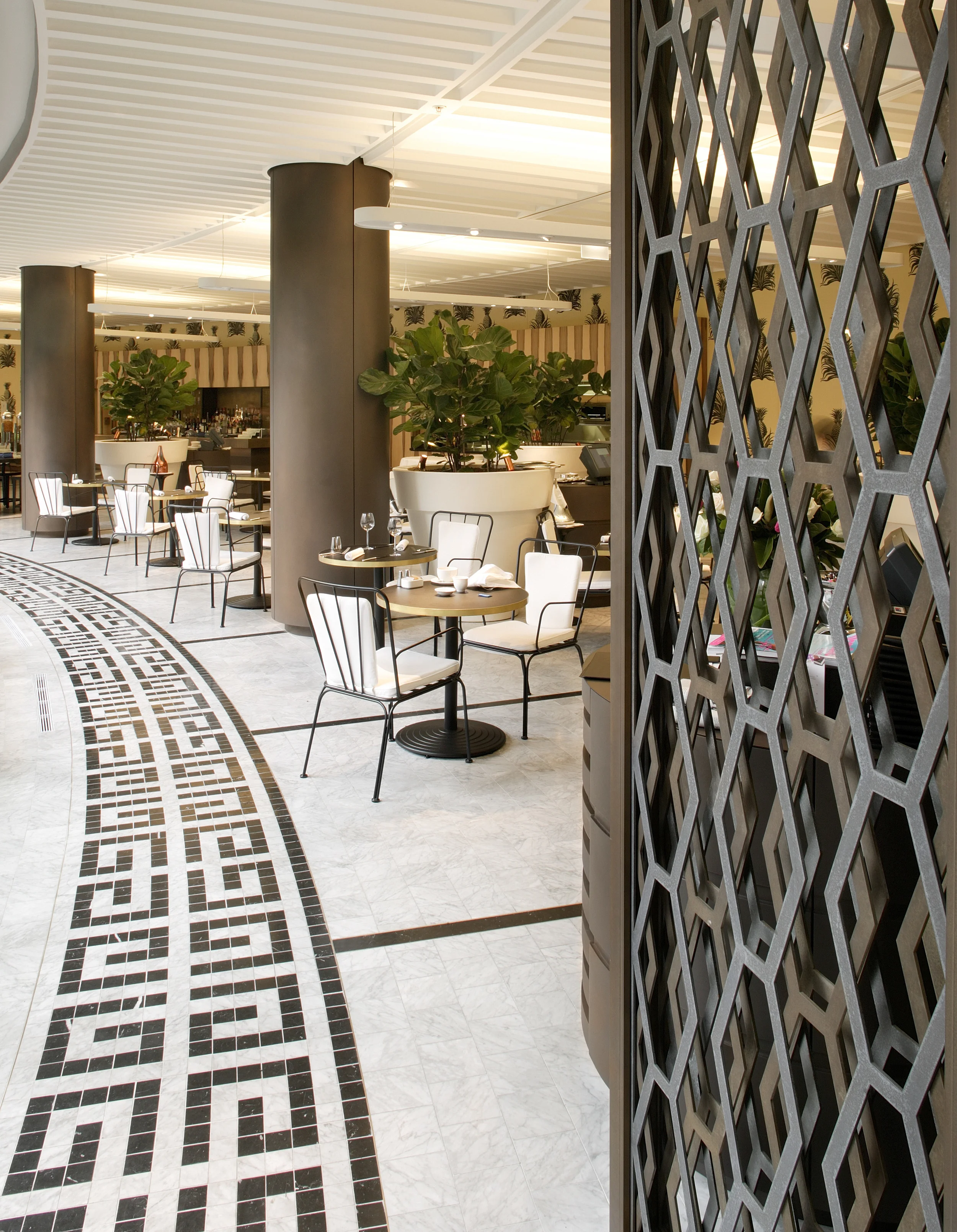 Axolotl_Wentworth_007.jpg